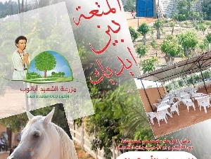 دار القليني والنهيسي بمزرعة الشهيد أبانوب